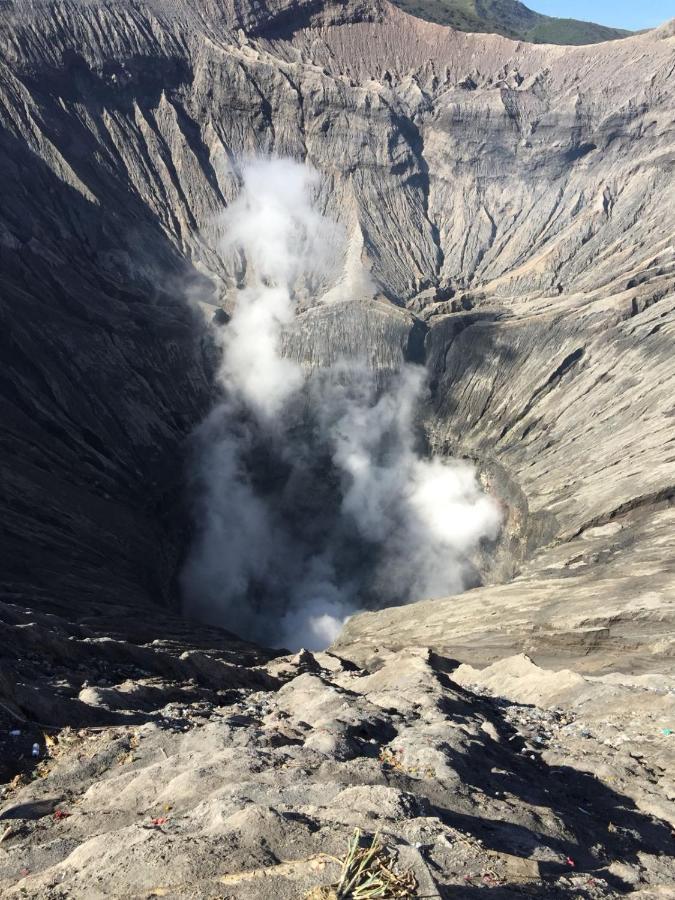 Bromo Tanjung Tosari Exterior foto