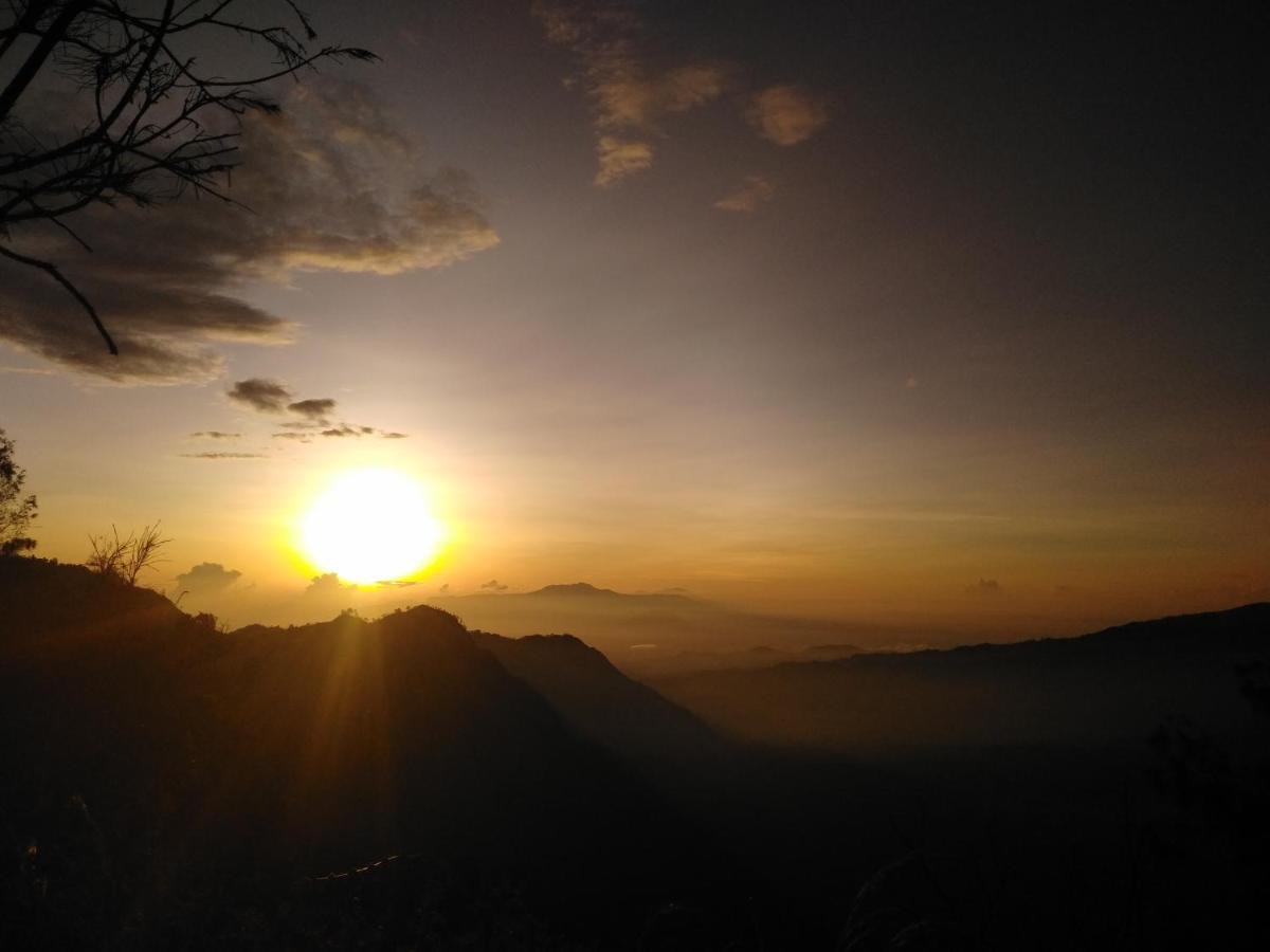 Bromo Tanjung Tosari Exterior foto