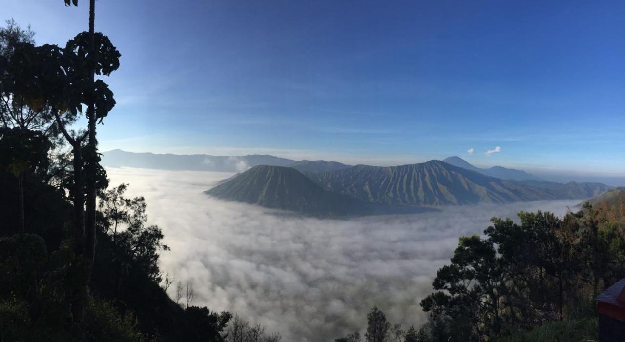 Bromo Tanjung Tosari Exterior foto