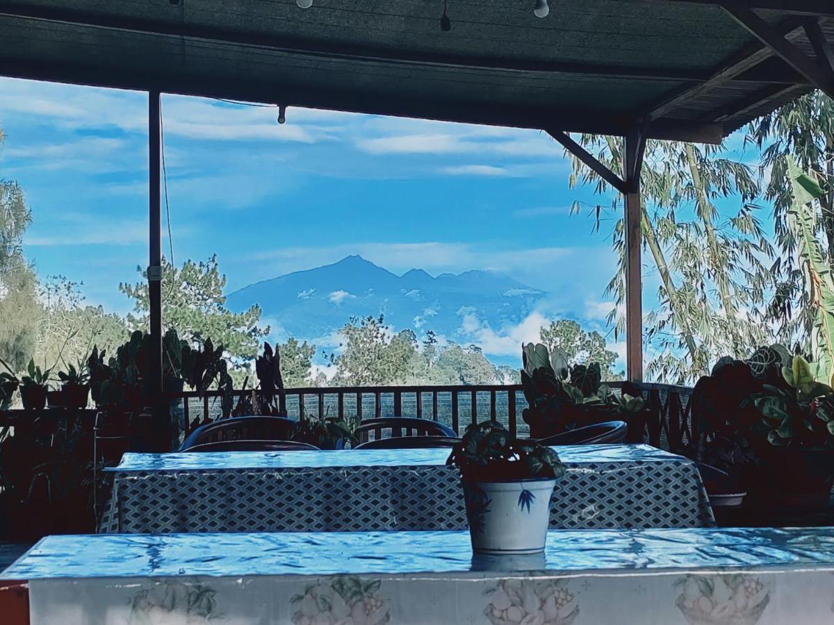 Bromo Tanjung Tosari Exterior foto