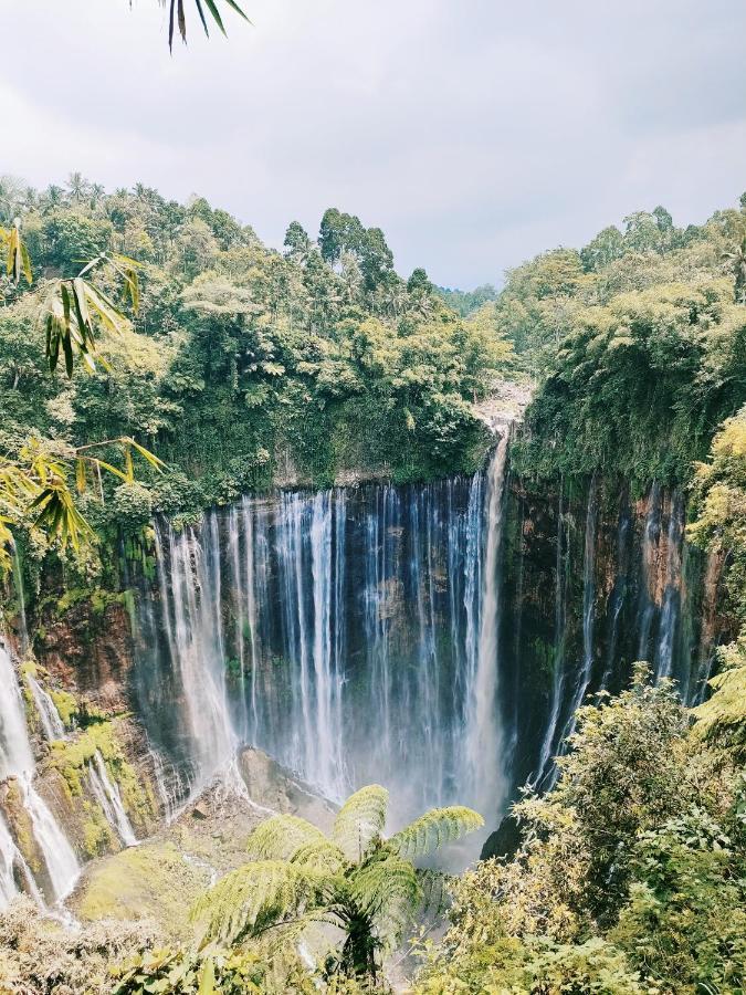 Bromo Tanjung Tosari Exterior foto