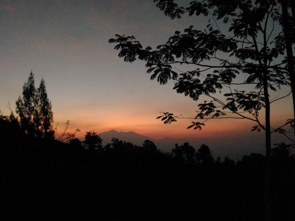 Bromo Tanjung Tosari Exterior foto