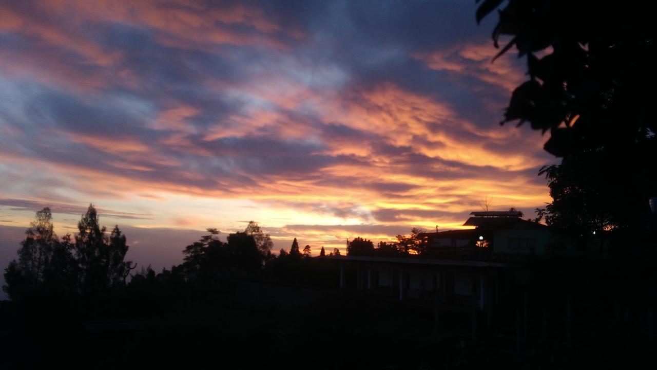 Bromo Tanjung Tosari Exterior foto