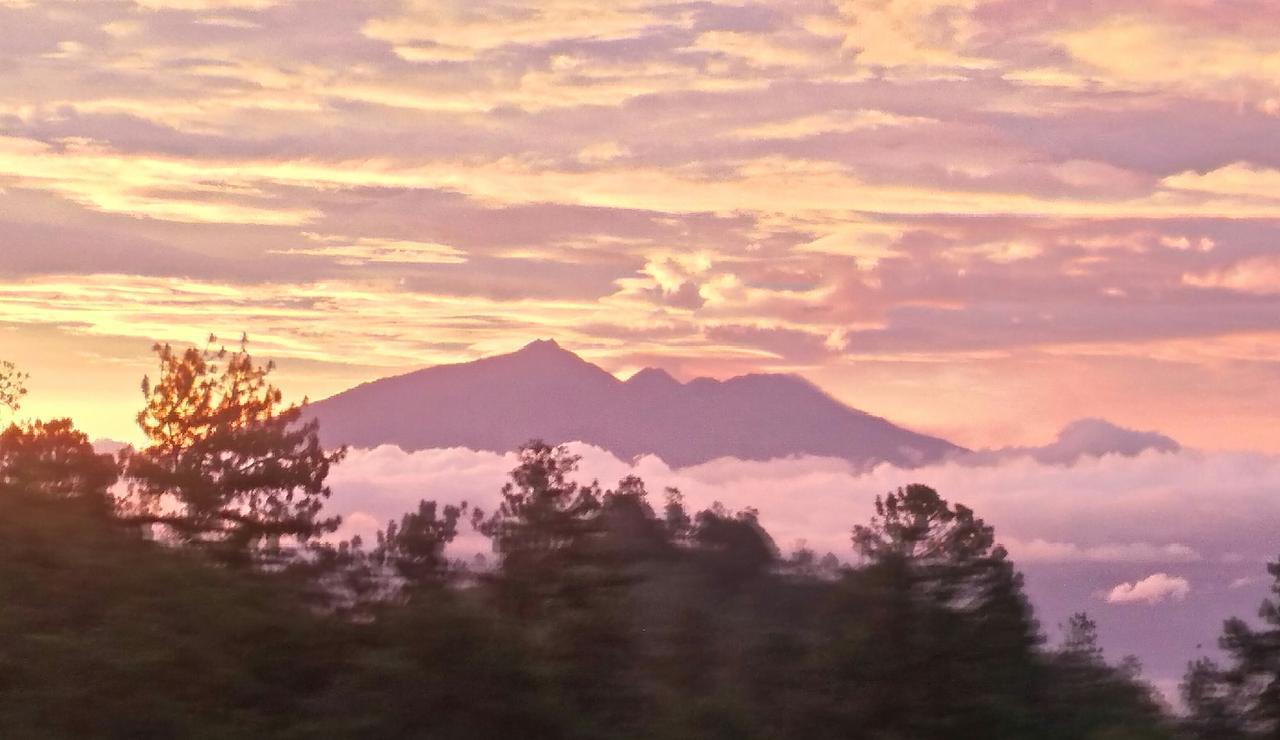 Bromo Tanjung Tosari Exterior foto