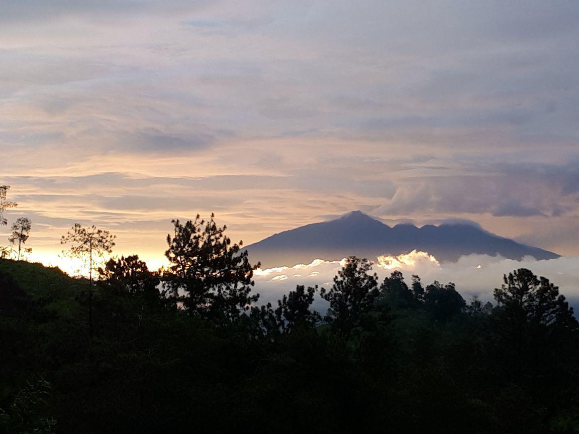 Bromo Tanjung Tosari Exterior foto